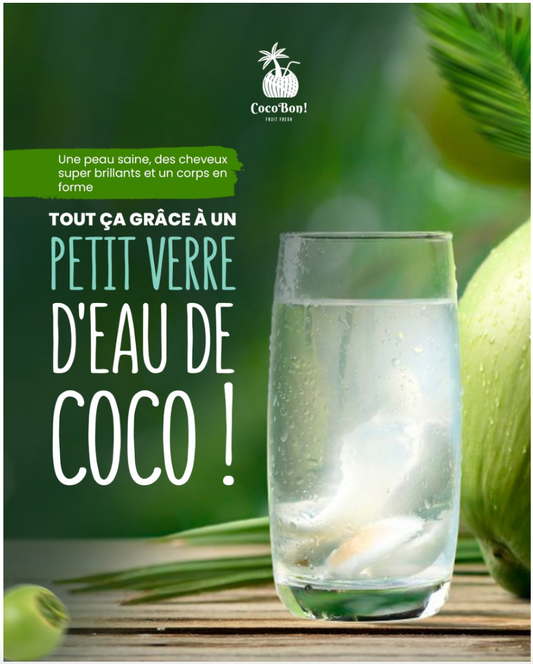 Pack Pionnier (12 cocos) - Membre Fondateur