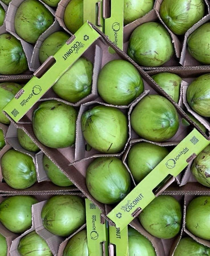 [Précommande] Pack Pionnier — 12 Noix de Coco Fraîches