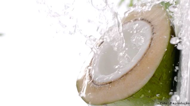 [Précommande] Pack Entreprise — 60 Noix de Coco Vertes