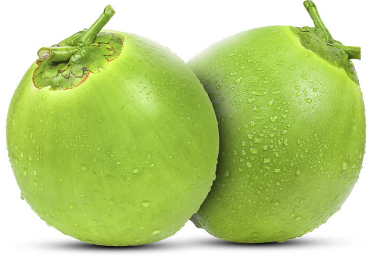 [Précommande] Pack PRO — 30 Noix de Coco Vertes
