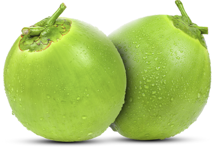 [Précommande] Pack PRO — 30 Noix de Coco Vertes